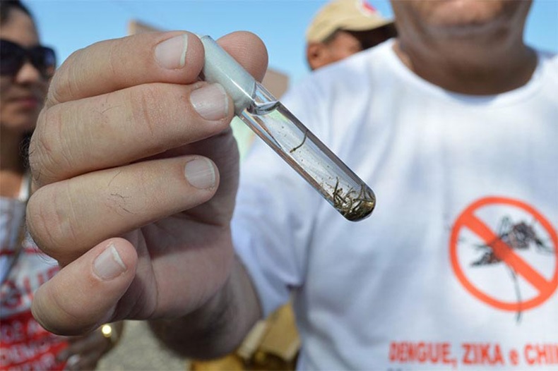 Foto: Arquivo/Cidadeverde.com 