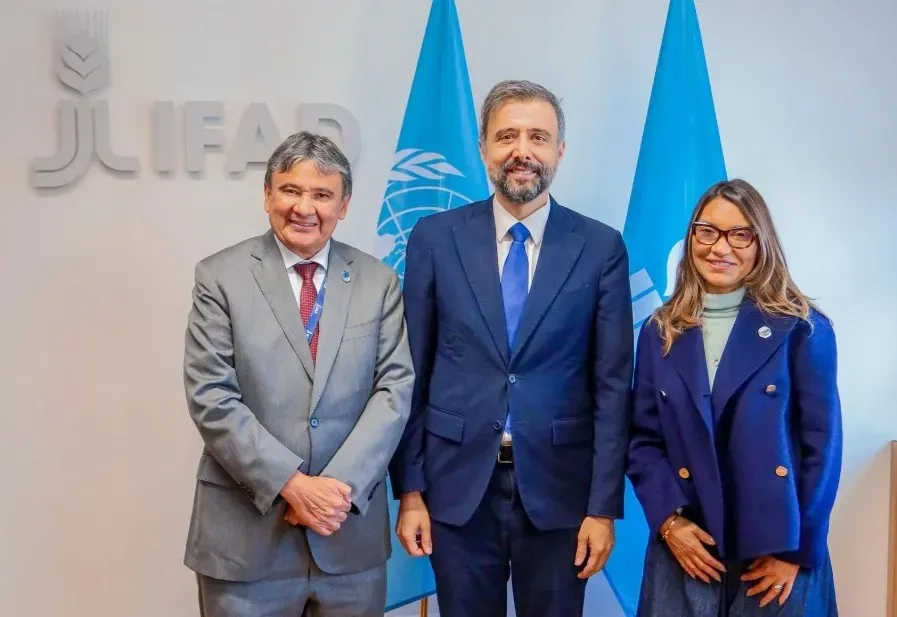 Foto / Reprodução