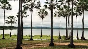 Foto / Reprodução