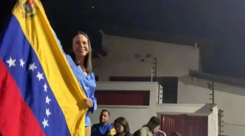 Foto / Reprodução