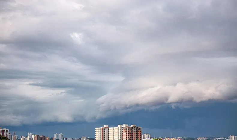 Foto / Reprodução