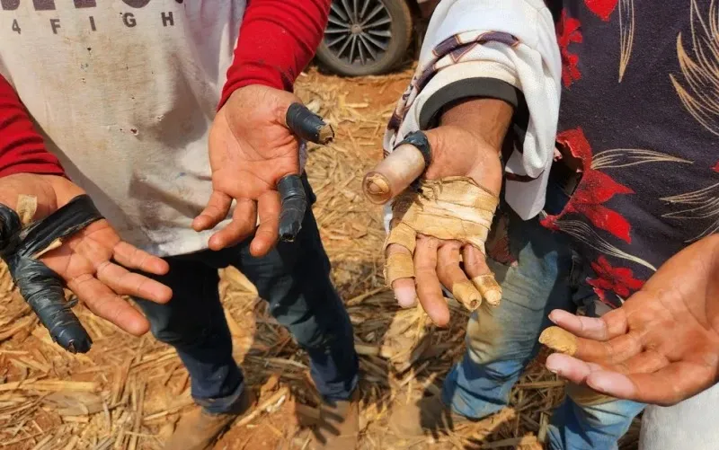 MTE resgata 65 trabalhadores em condições análogas à escravidão; piauienses estão entre as vítimas