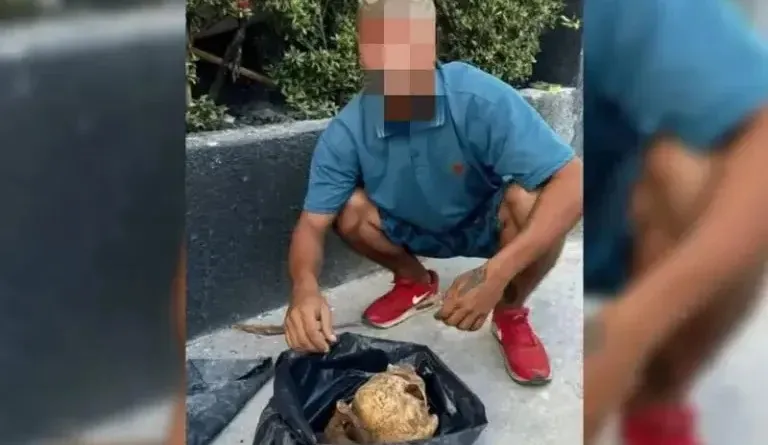 Foto / Reprodução