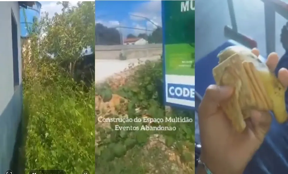 Foto / Reprodução