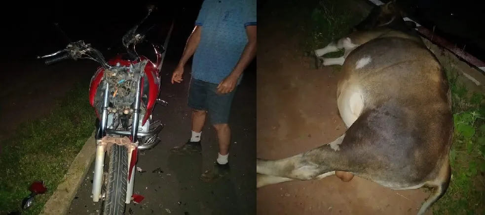 Homem morre após colidir com bovino no Povoado `Pai Amaro, zona rural de Paquetá do Piauí / Foto: Reprodução