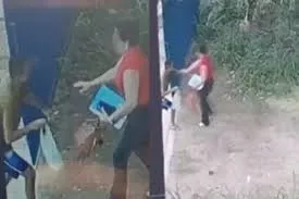 Foto / Reprodução