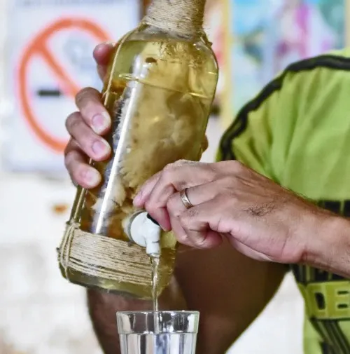 Piauí é o terceiro estado com maior número de óbitos associados ao álcool