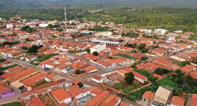 Foto / Reprodução