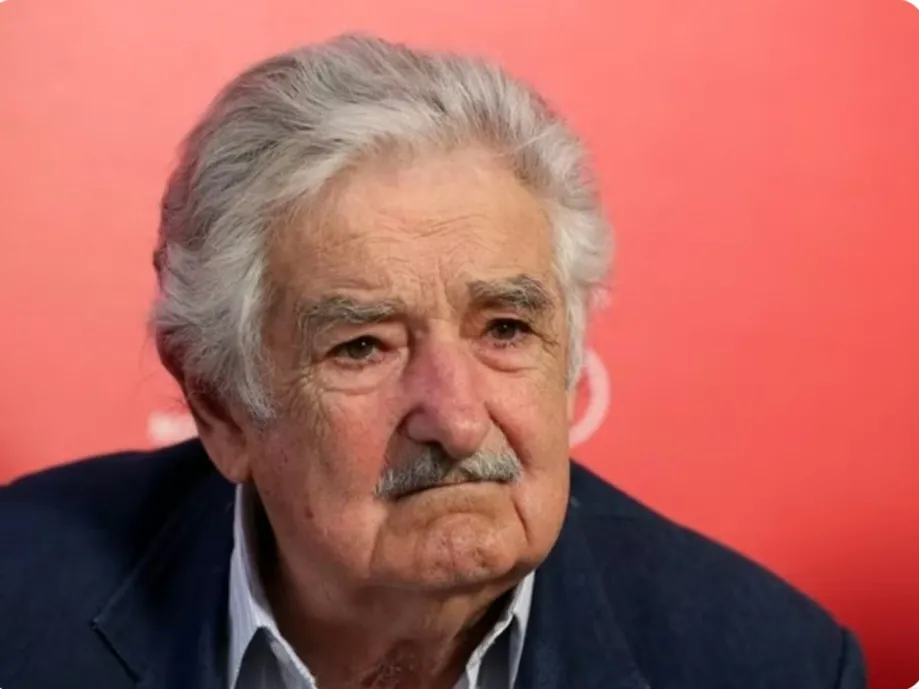 Foto / Reprodução 