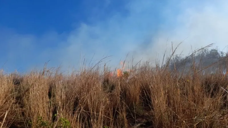 Incêndio assusta moradores de Cajazeiras do Piauí