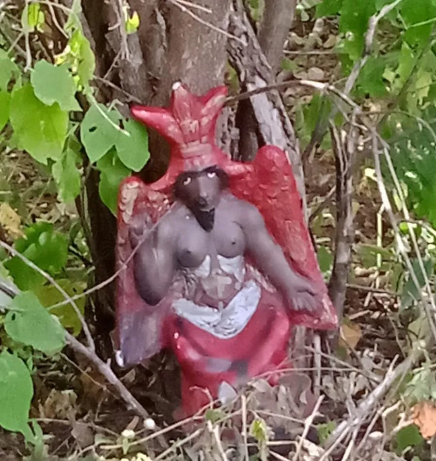 Foto / Reprodução
