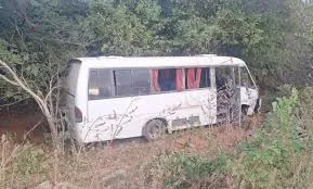 Foto / Reprodução