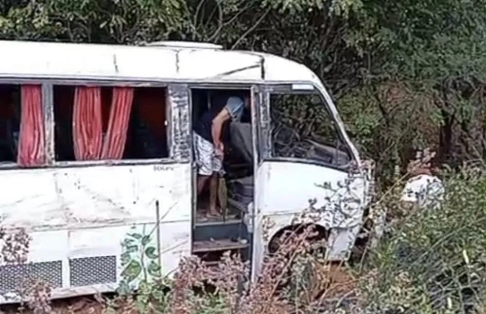 Foto / Reprodução