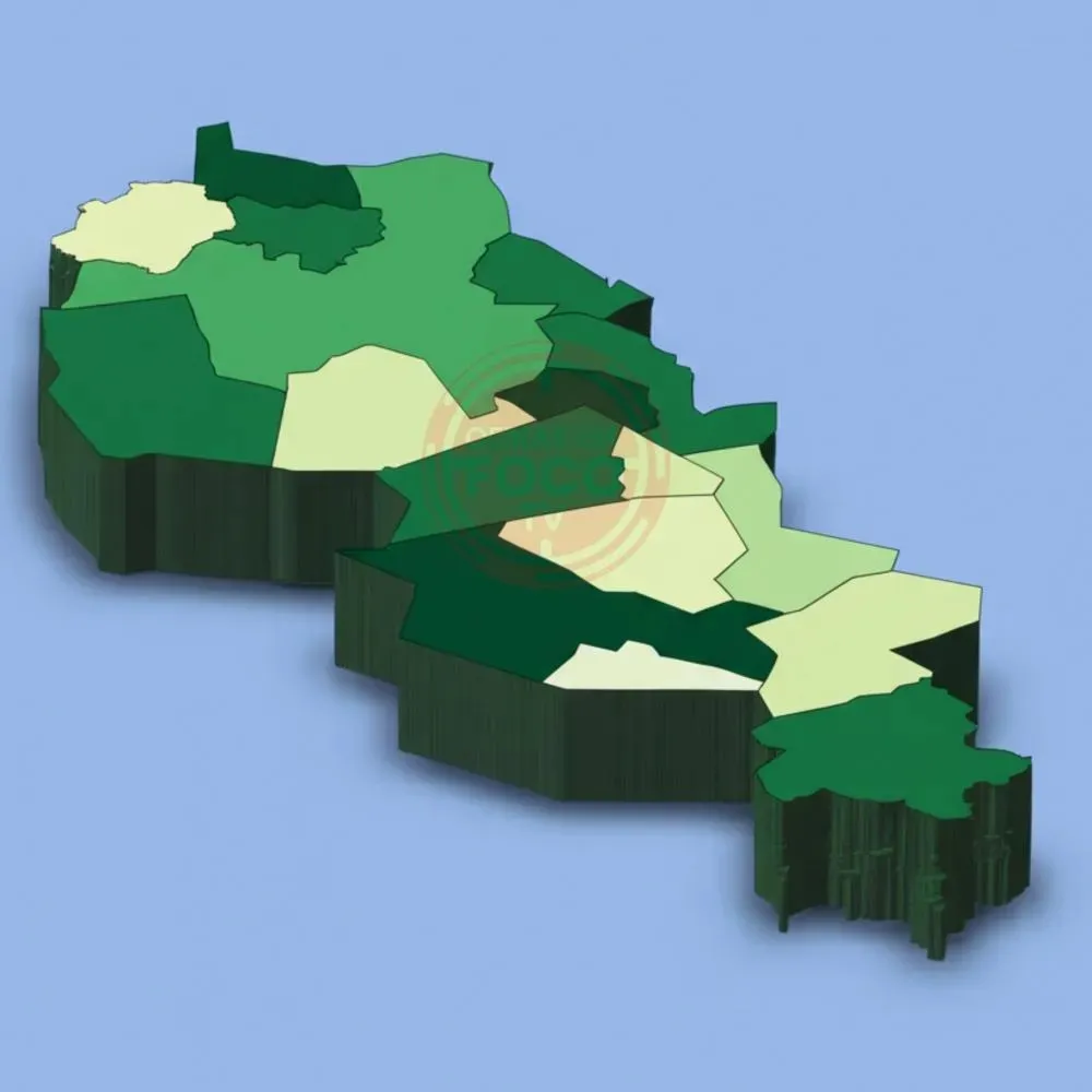 Foto / Reprodução