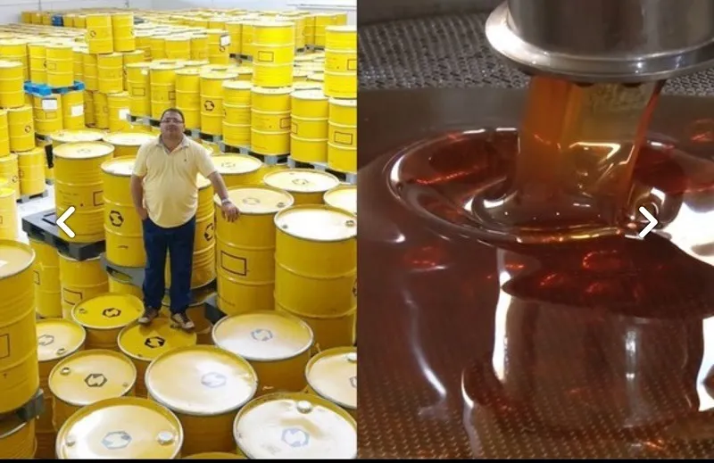 Tarifa dos EUA trava exportação de mel e afeta cadeia produtiva no Piauí
