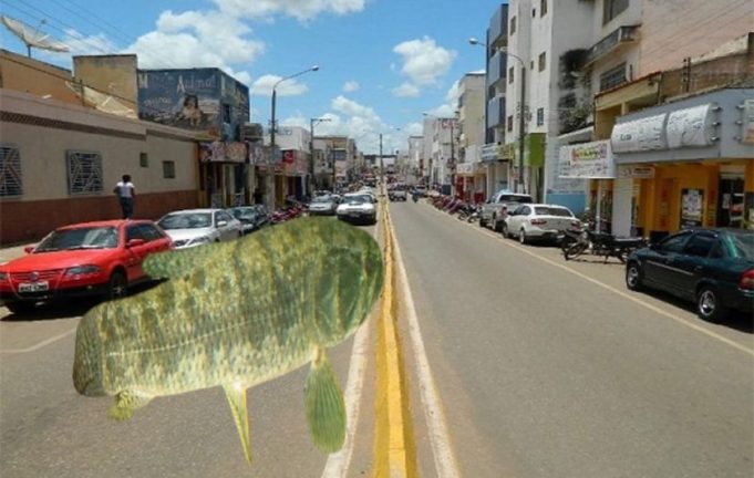 Panorama: Traíras procuram comidas no lago da política picoense