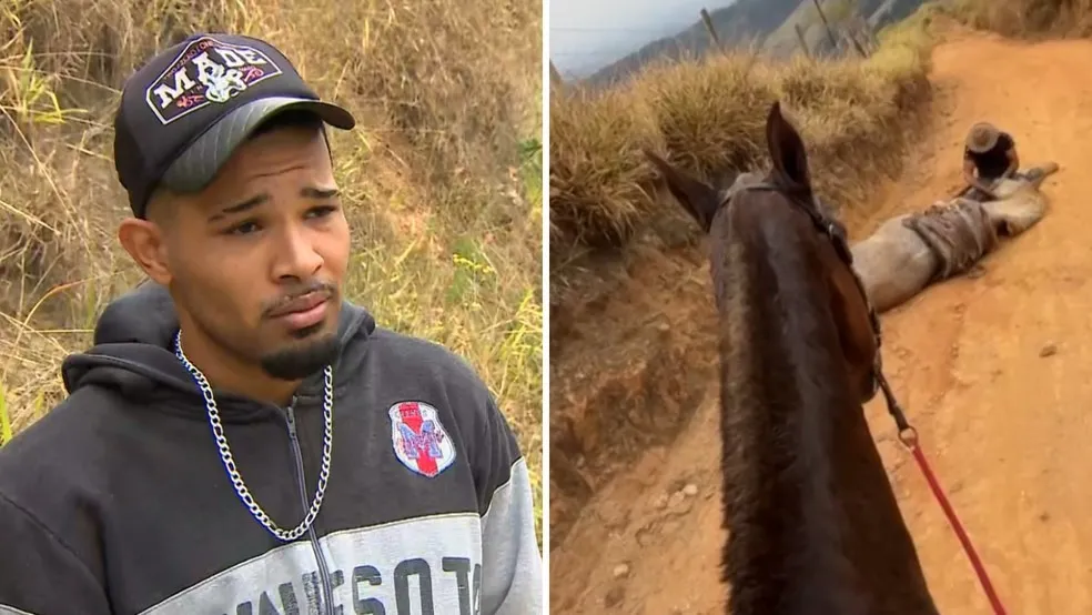 Estão me julgando, eu não sou um monstro’, diz homem que confessou ter mutilado cavalo com facão em SP — Foto: Reprodução/TV Vanguarda