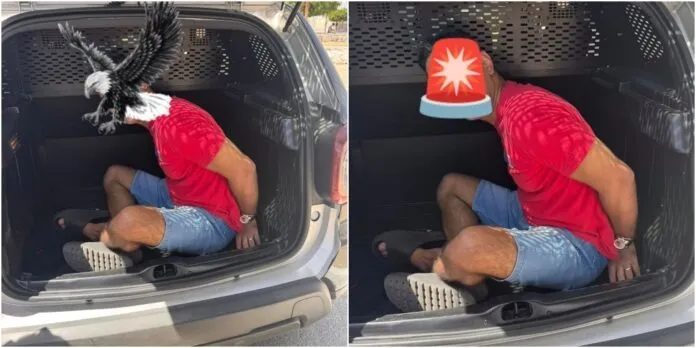 Foto / Reprodução