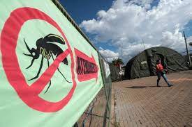 O número de casos prováveis de dengue no DF saltou 1.733% em relação ao mesmo período do ano passado - (crédito: Luis Nova/CB)