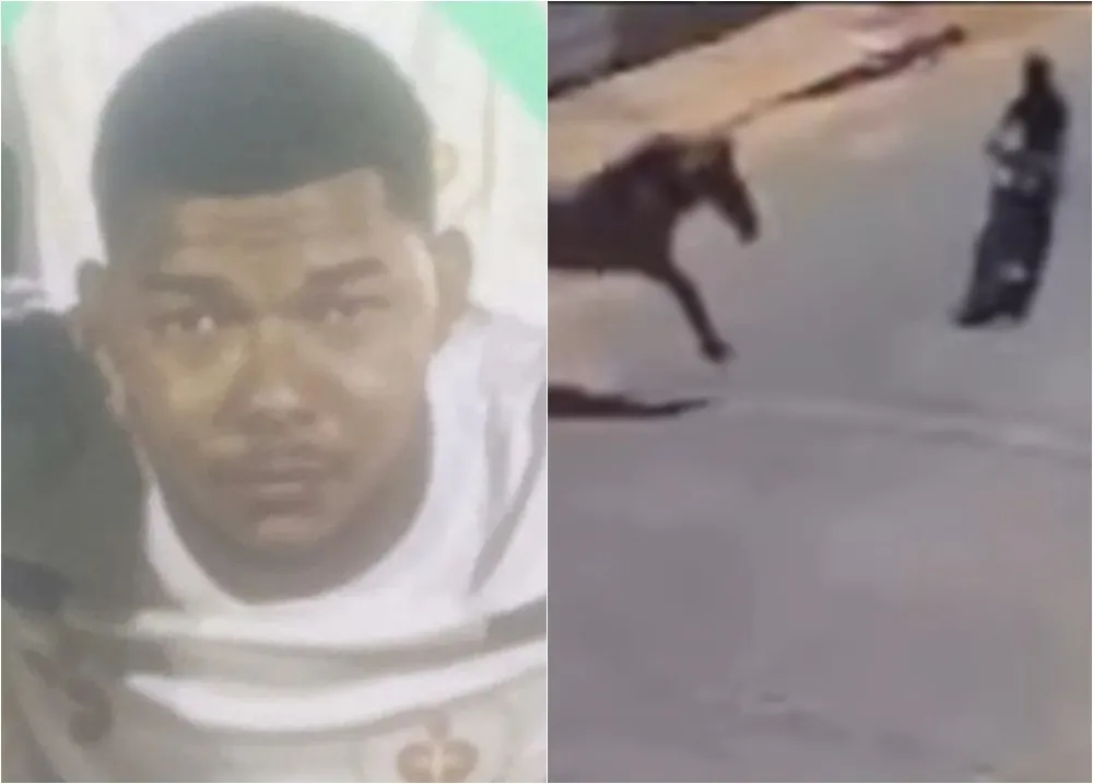 Dono de cavalo que causou acidente fatal em Floriano é localizado pela Polícia