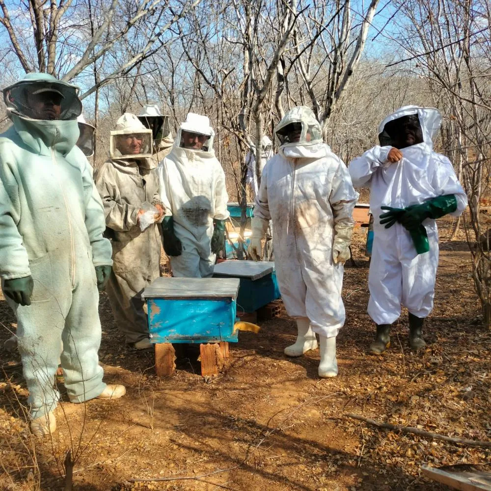 Projeto Agronordeste Realiza 3° Encontro de apicultores em Santana do Piauí