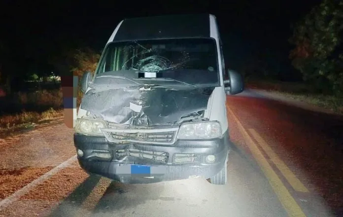 Foto / Reprodução