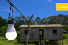 Foto / Reprodução