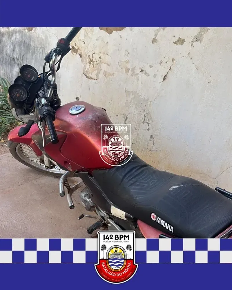 Foto / Reprodução