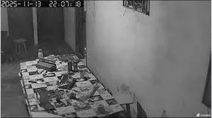 Foto / Reprodução