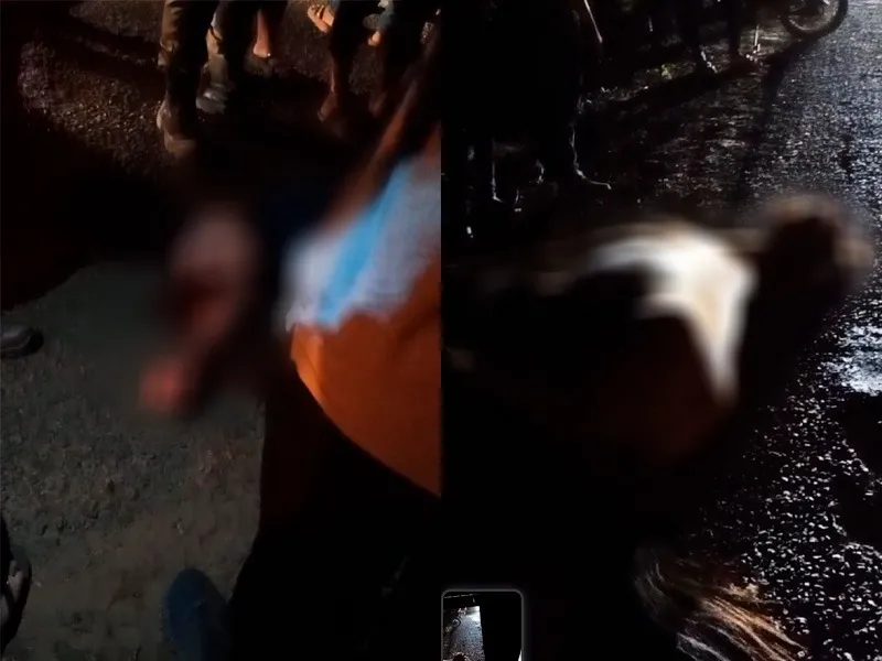 Vaqueiro é atropelado após cavalgada; cavalo morre e moradores cobram esclarecimentos - Foto: Reprodução