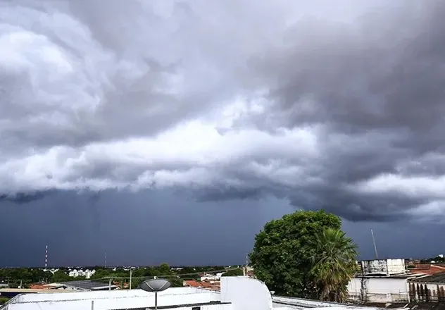 Foto / Reprodução