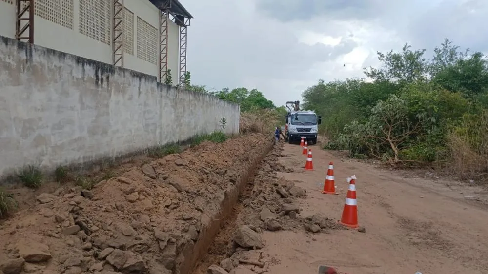 Foto / Reprodução