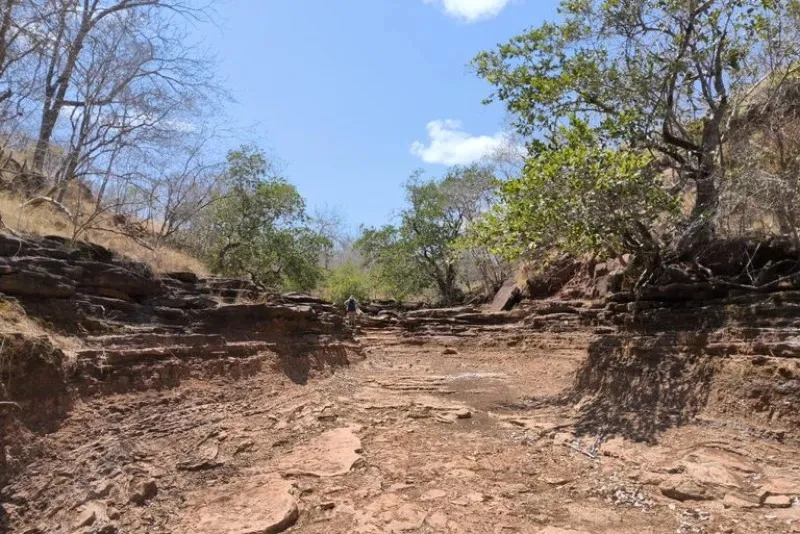 Terras raras e alta concentração de minerais são descobertos no Piauí
