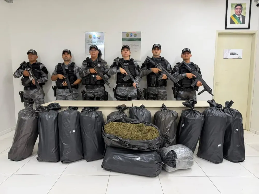 Maconha apreendida pela polícia (Foto: reprodução)