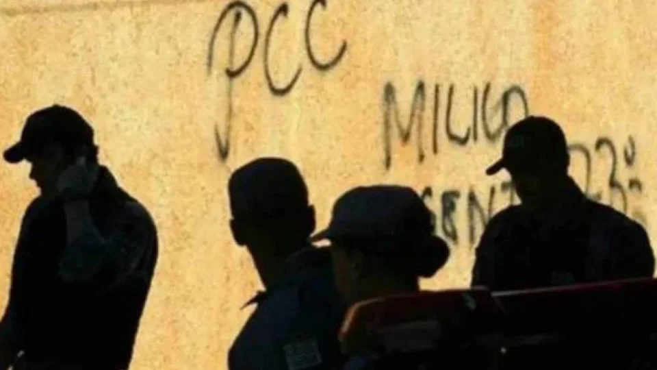 Foto / Reprodução