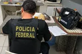 PF investiga participação de candidatos eleitos no Piauí em fraude na transferência de títulos