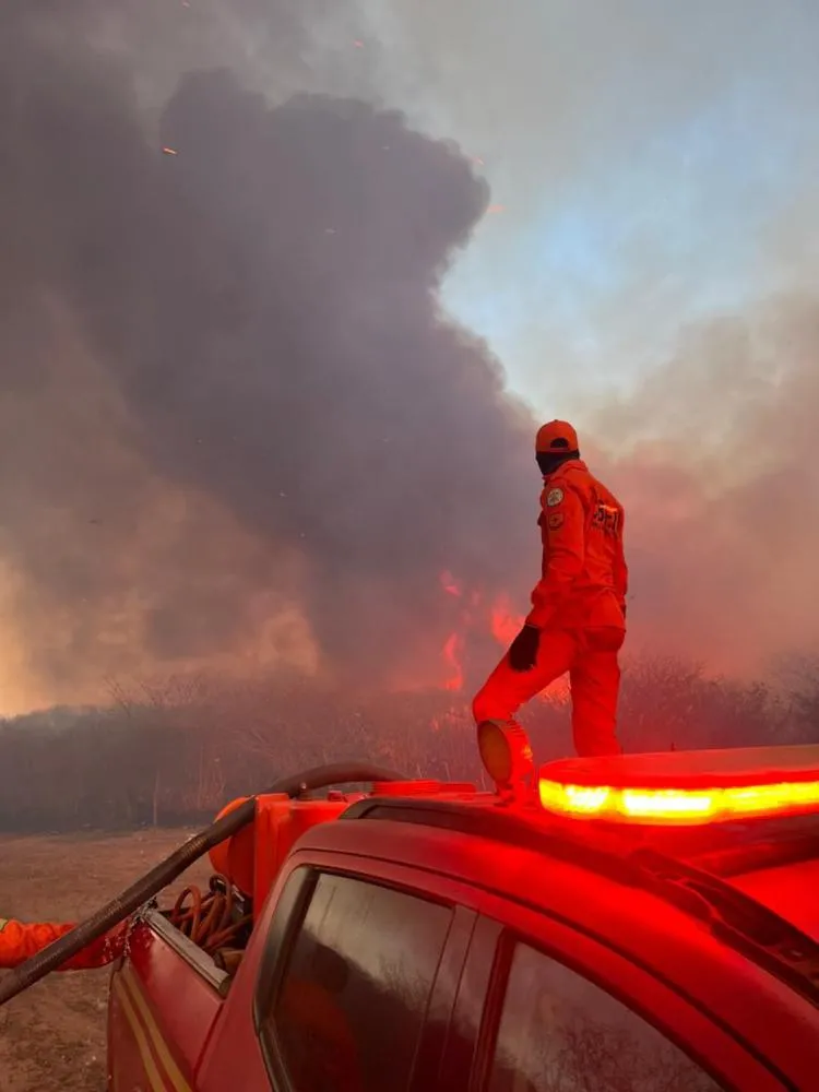 Incêndio destruiu área de vegetação em Dom Expedito Lopes