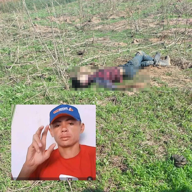 Foto / Reprodução