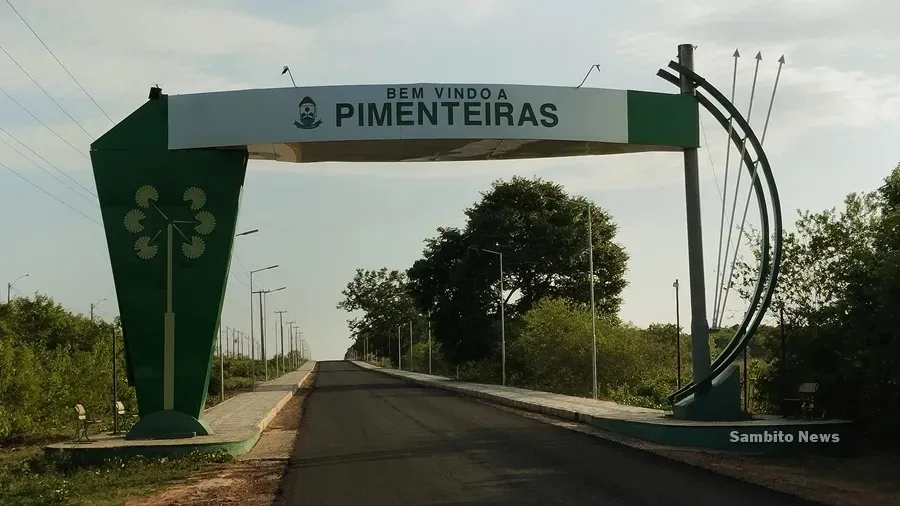 Áudio atribuído a ex-candidata em Pimenteiras confirmaria o uso de candidatura laranja