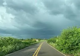 Foto / Reprodução