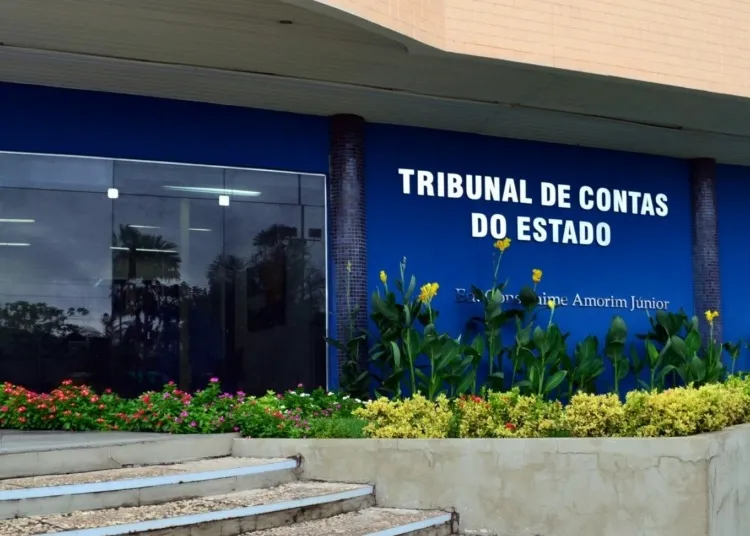 Foto / Reprodução