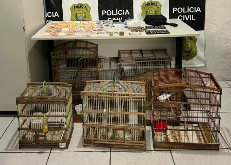 Três pessoas são presas com drogas e animais silvestres em Buriti dos Lopes
