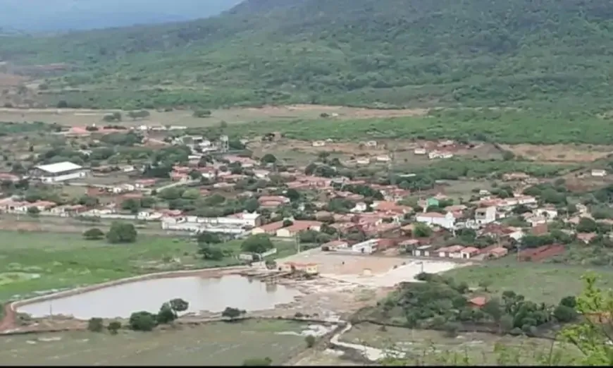 Foto / Reprodução