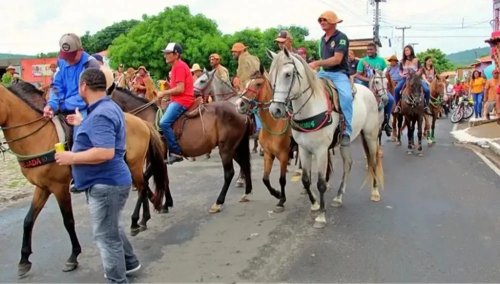 Foto / Reprodução