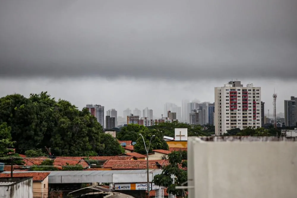 Foto / Reprodução