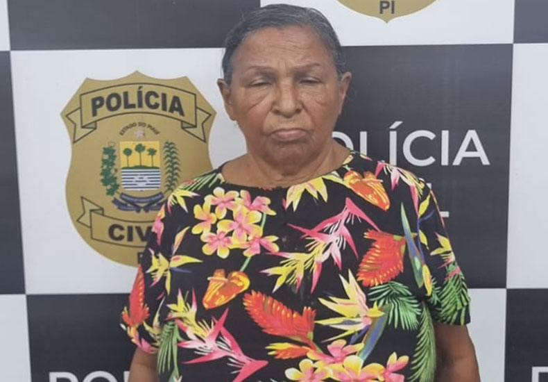 Foto: divulgação PC-PI