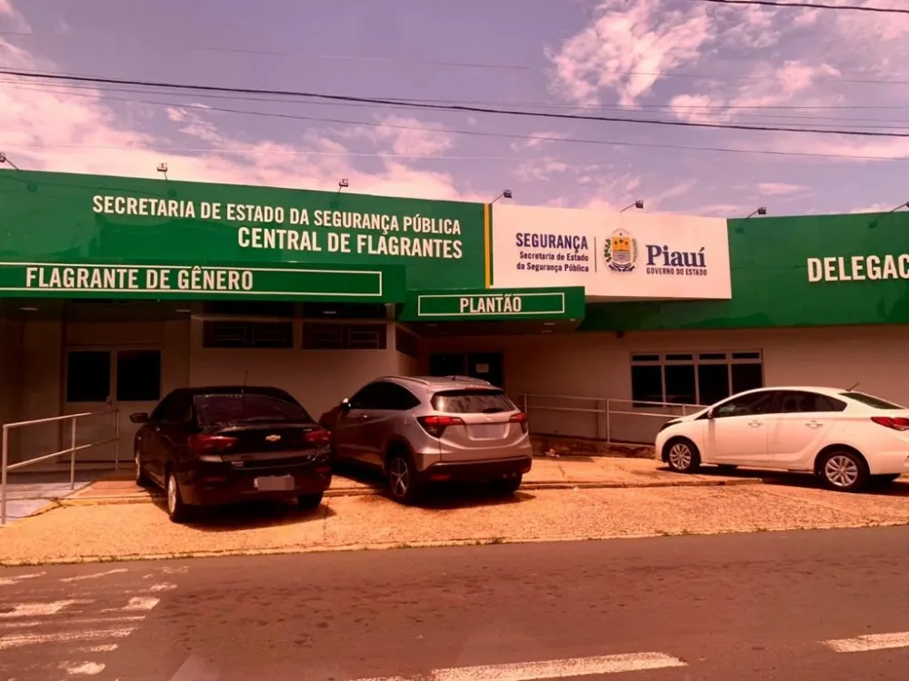 Adolescente de 14 anos é apreendido suspeito de estuprar criança em Teresina