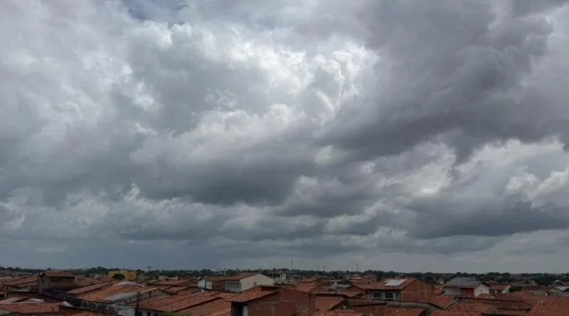 Foto / Reprodução